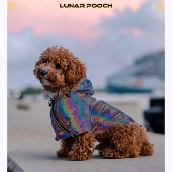 Lunar Pooch reflective dog hoodie - size 6 - iridescent reflective dog coat - Picture 10 of 14
